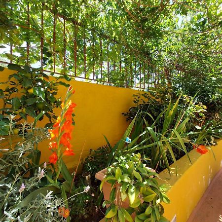 Casa Maestro Lelo - Acogedora Casa Rural Canaria Con Patios Y Jardines De Flores Las Palmas de Gran Canaria Zewnętrze zdjęcie