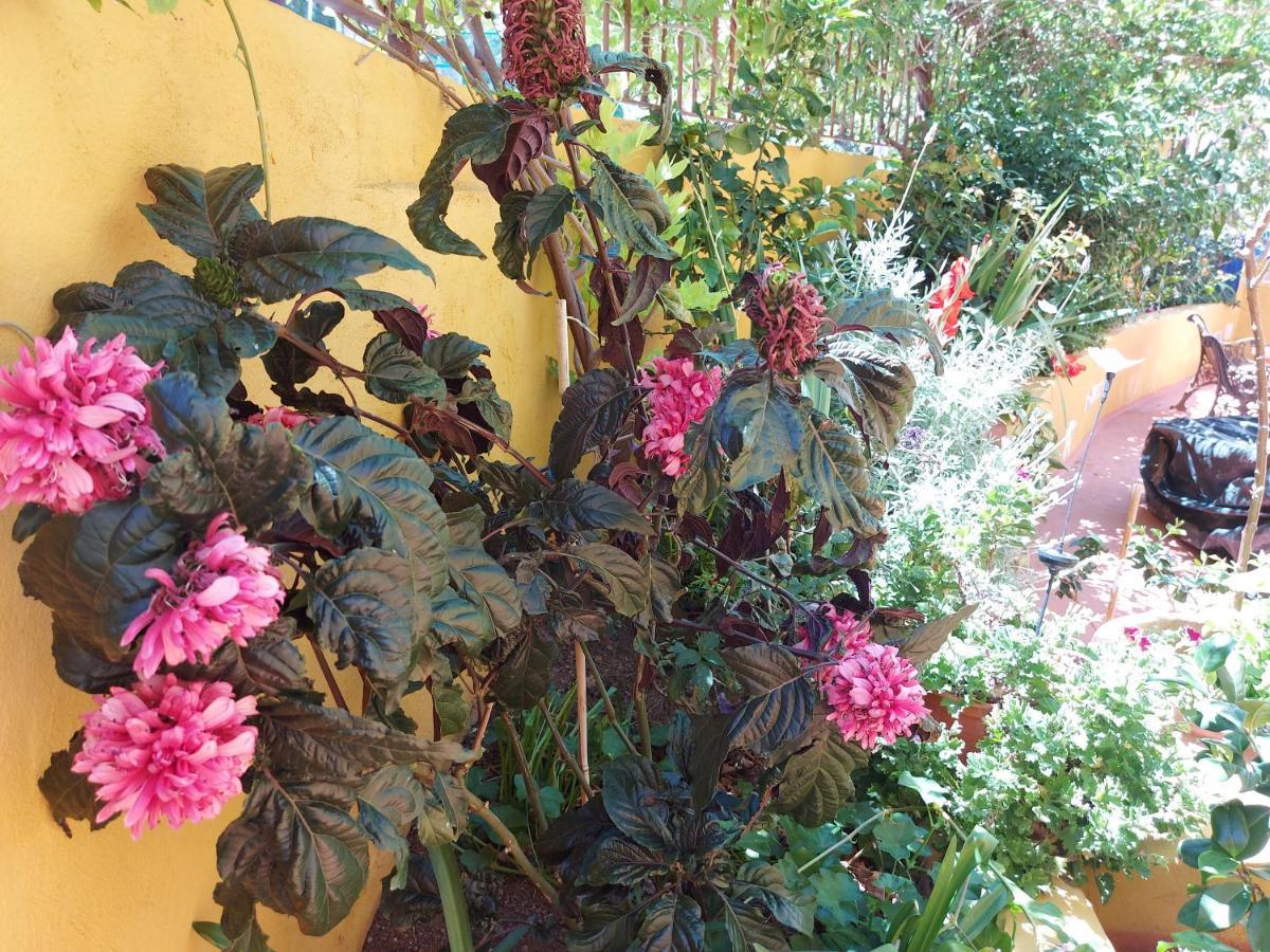 Casa Maestro Lelo - Acogedora Casa Rural Canaria Con Patios Y Jardines De Flores Las Palmas de Gran Canaria Zewnętrze zdjęcie