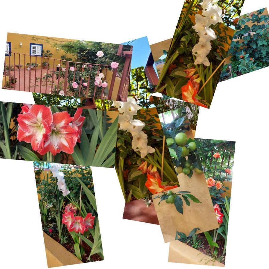 Casa Maestro Lelo - Acogedora Casa Rural Canaria Con Patios Y Jardines De Flores Las Palmas de Gran Canaria Zewnętrze zdjęcie