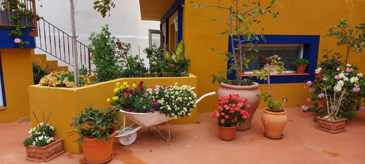 Casa Maestro Lelo - Acogedora Casa Rural Canaria Con Patios Y Jardines De Flores Las Palmas de Gran Canaria Zewnętrze zdjęcie