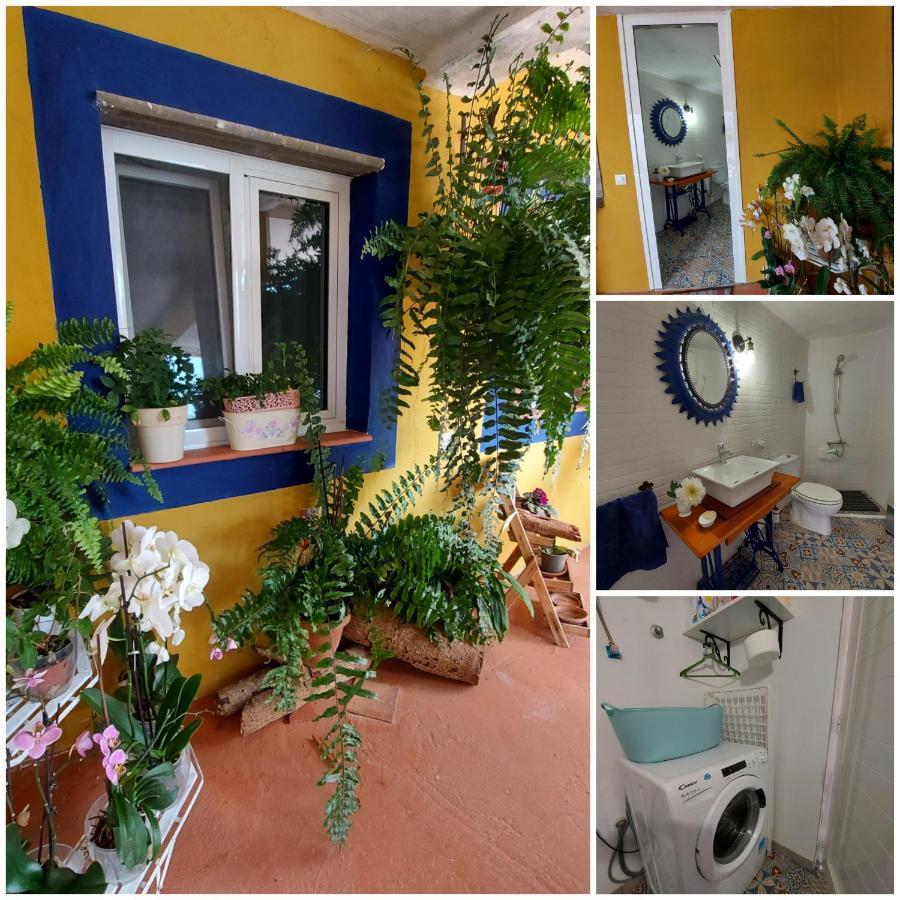 Casa Maestro Lelo - Acogedora Casa Rural Canaria Con Patios Y Jardines De Flores Las Palmas de Gran Canaria Zewnętrze zdjęcie