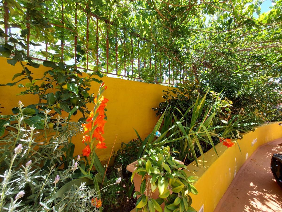 Casa Maestro Lelo - Acogedora Casa Rural Canaria Con Patios Y Jardines De Flores Las Palmas de Gran Canaria Zewnętrze zdjęcie